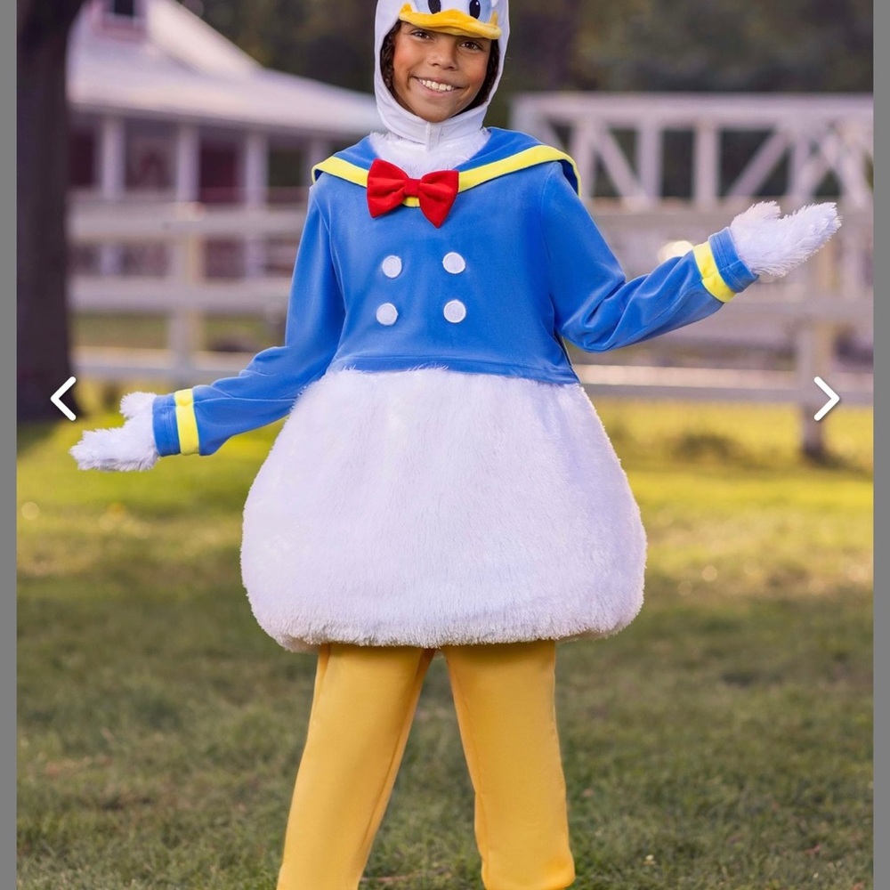 Disney Blue and White Donald Duck Halloween Costume